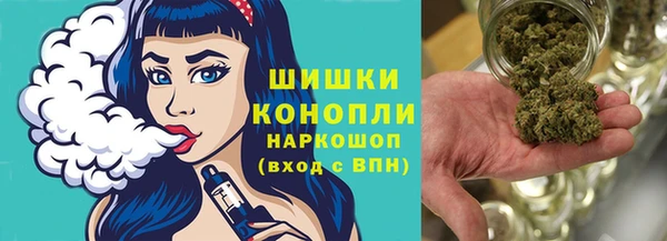 индика Аркадак