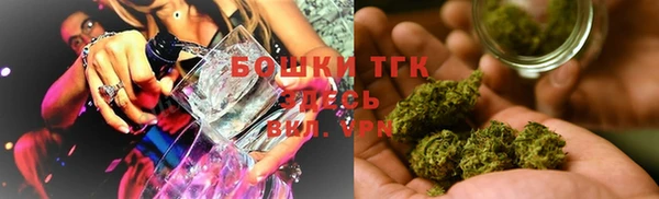 индика Аркадак