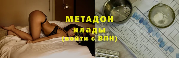 прущие грибы Алексеевка